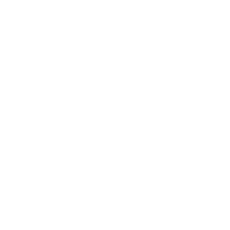 An icon of a wild turkey